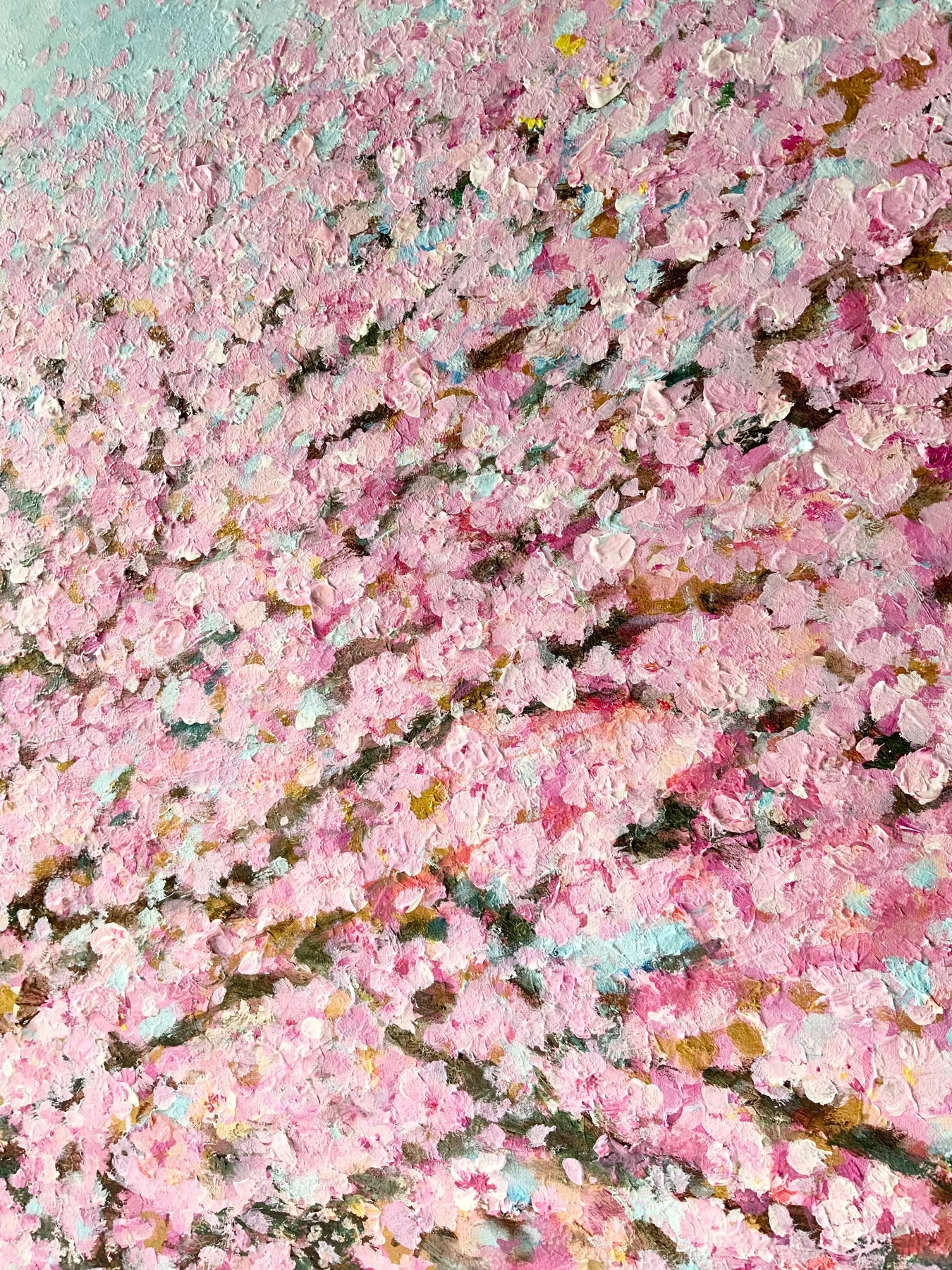 Sakura -Spring has come-